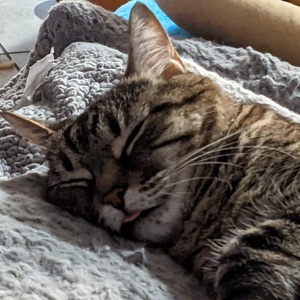 Fundraising Page: Elizabeth Gill